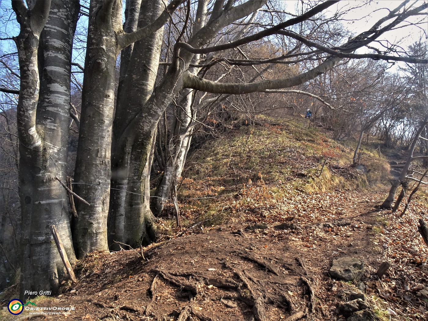 55 In decisa salita per cima Monte Zucco.JPG